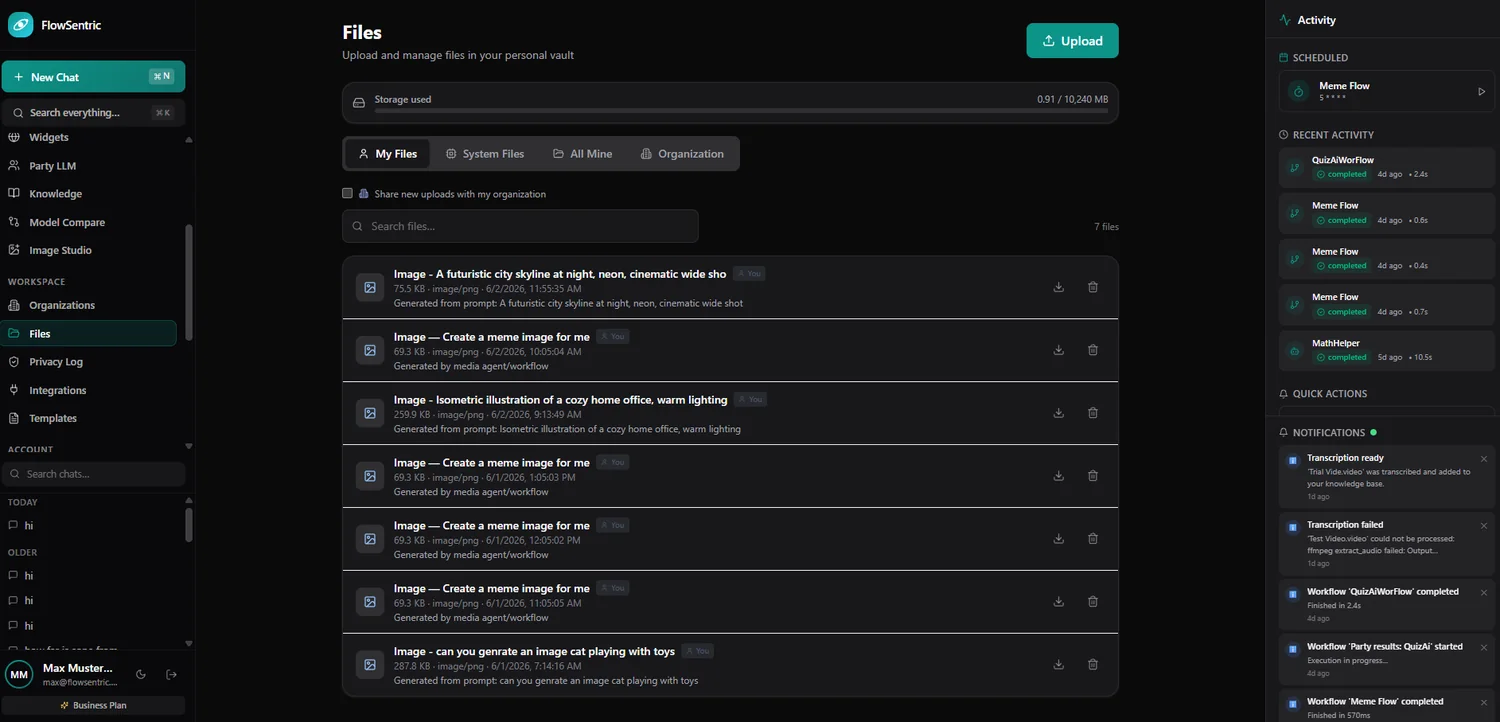 FlowSentric files & outputs library